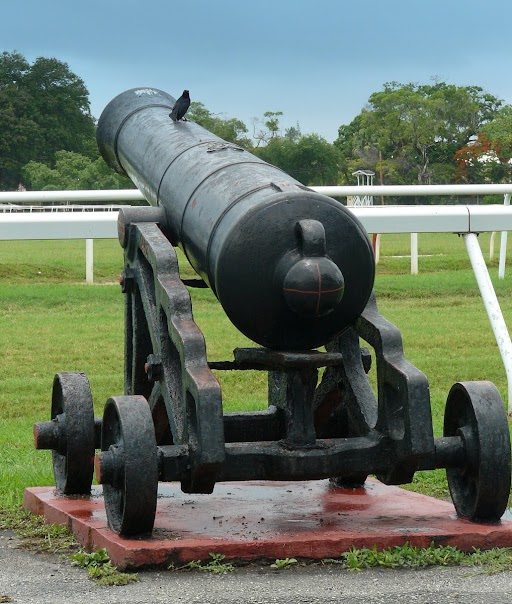 cannon