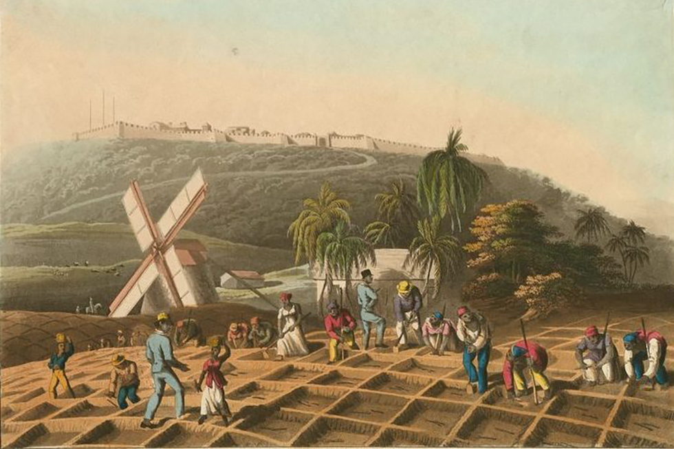 Slave Trade in Barbados | Slavery Bridgetown | George Washington House