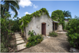 a vine covered house surrounded by trees