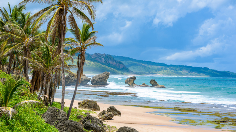 coastal view of the island of Barbados