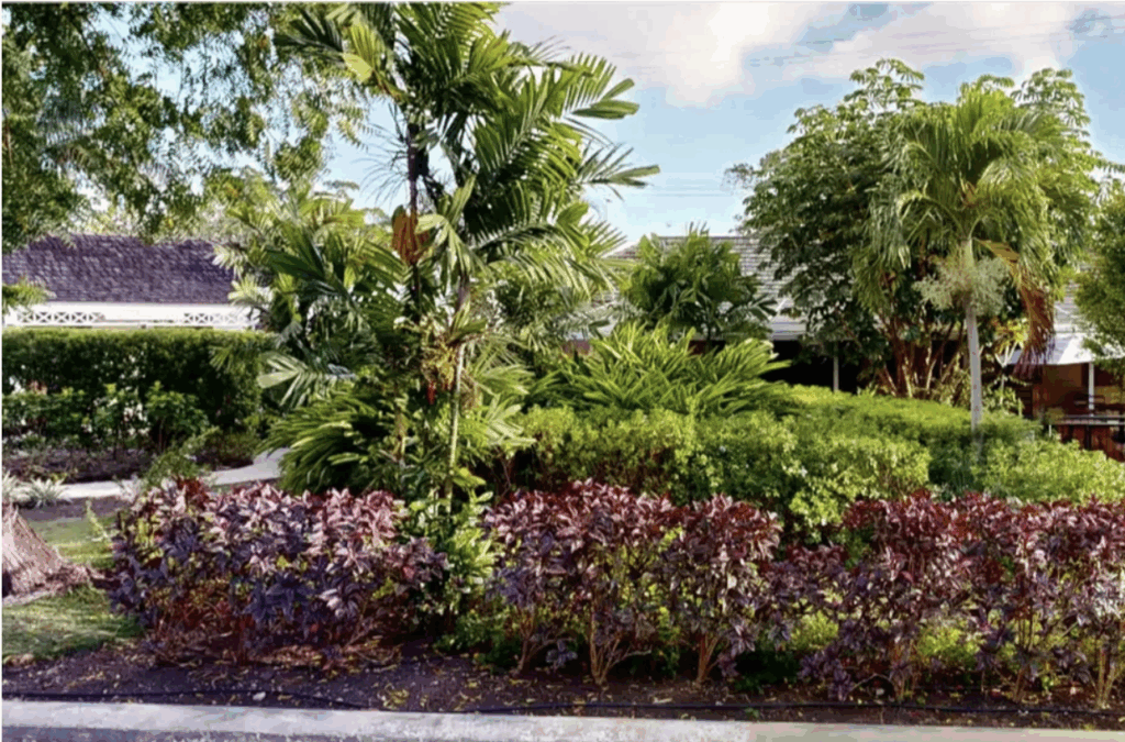 View of part of the estate and gardens at the George Washington House Barbados