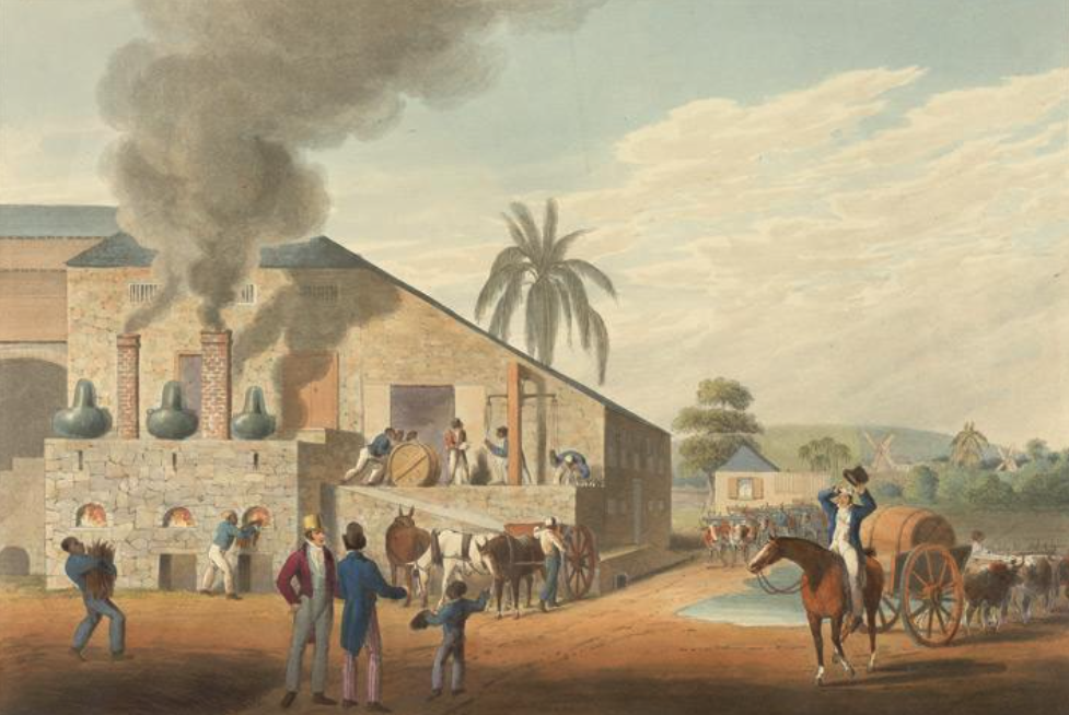 Rum plantation in Barbados 18th century