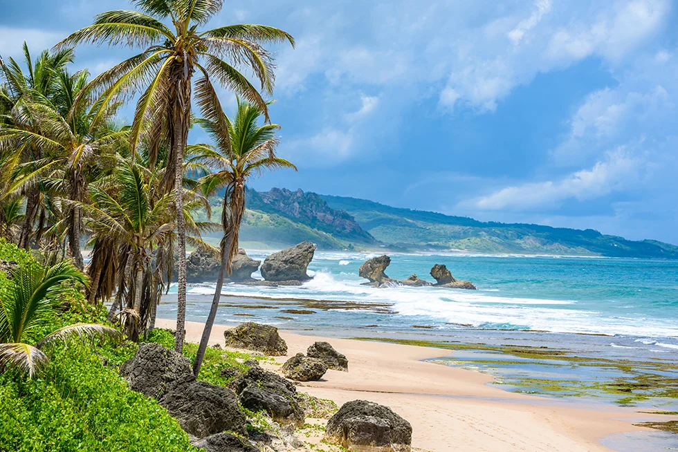 coastal view of the island of Barbados